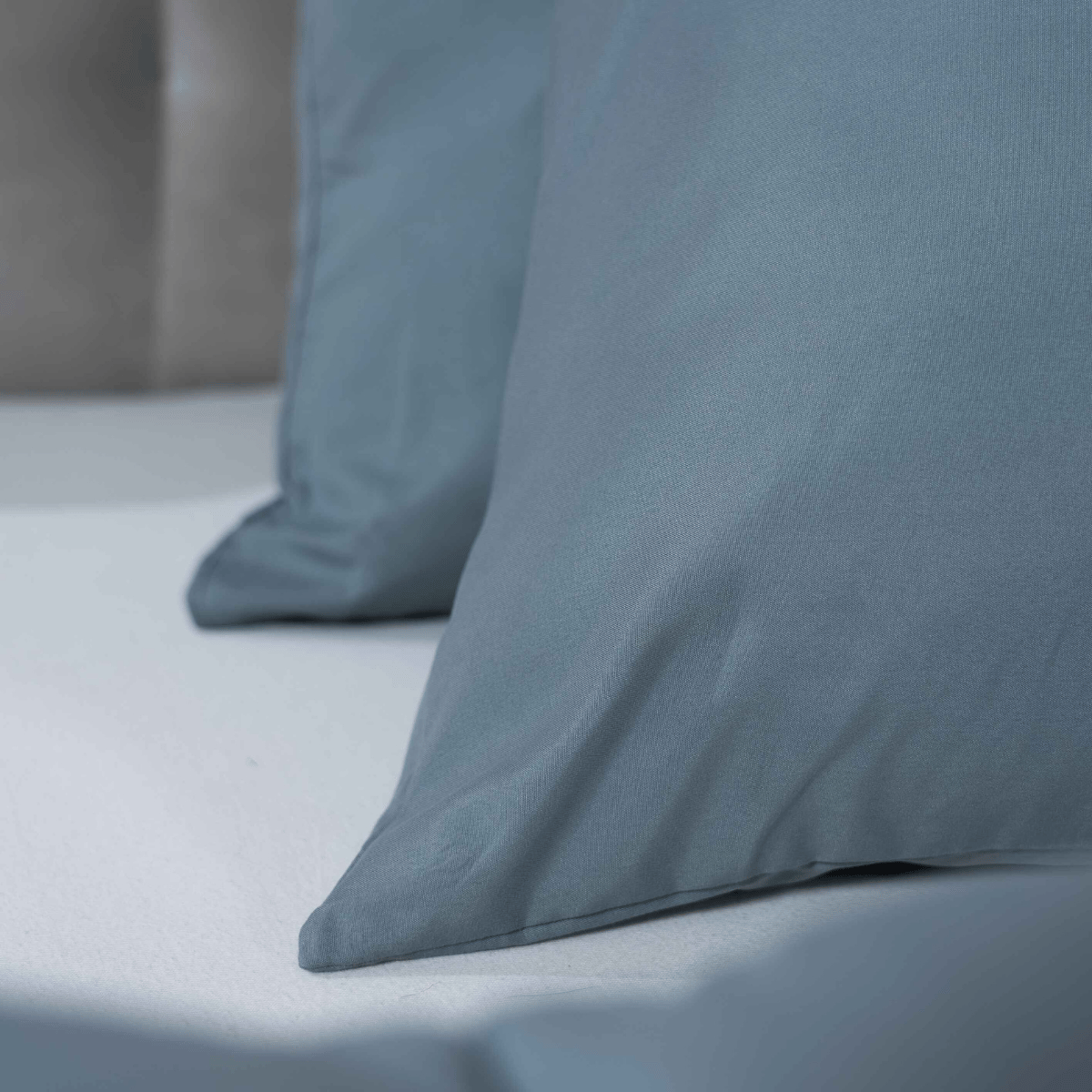 Zelesta Comfort Uni Pillowcase Set Of 2 - Grey