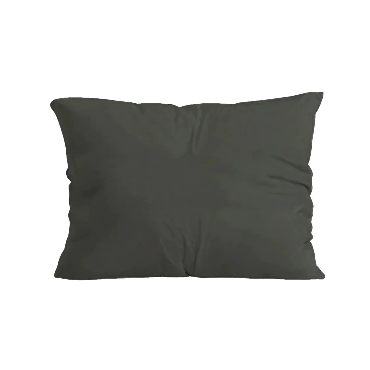 Zelesta Pure Uni Cotton Pillowcase Set Of 2 - Olive Black