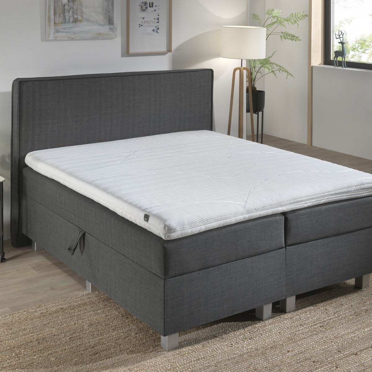 Zelesta Silver Line Topper - Nasa Memory Foam image