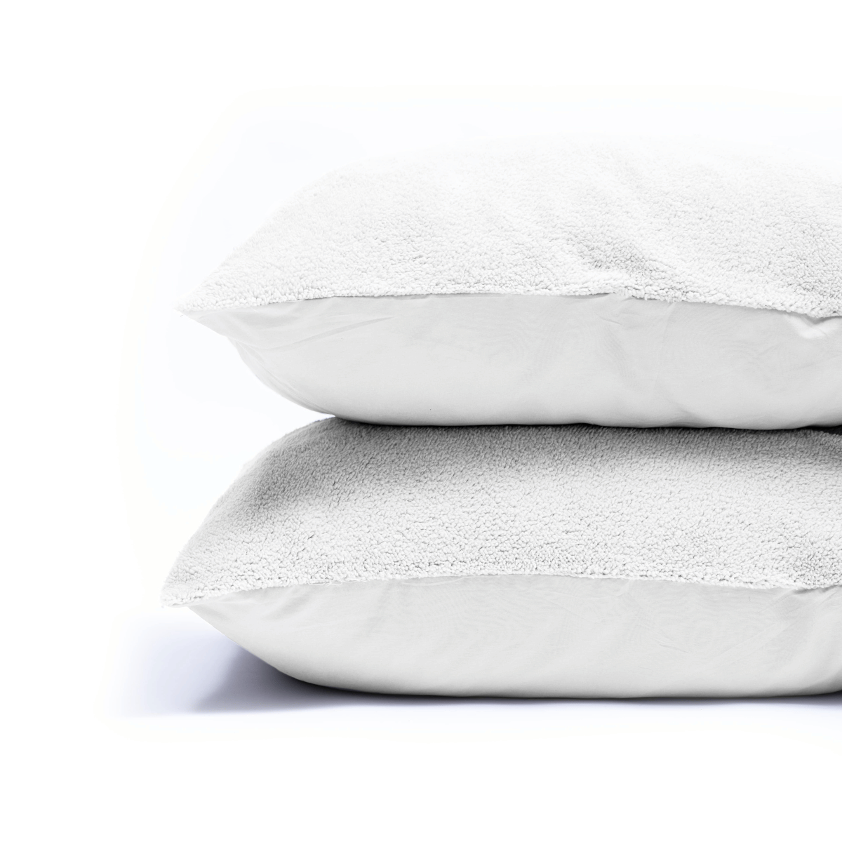 Zelesta Teddy Pillowcase Set Of 2 - White