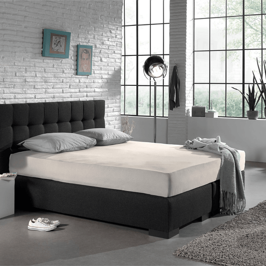 Zelesta Single Jersey Fitted Sheet Cream image