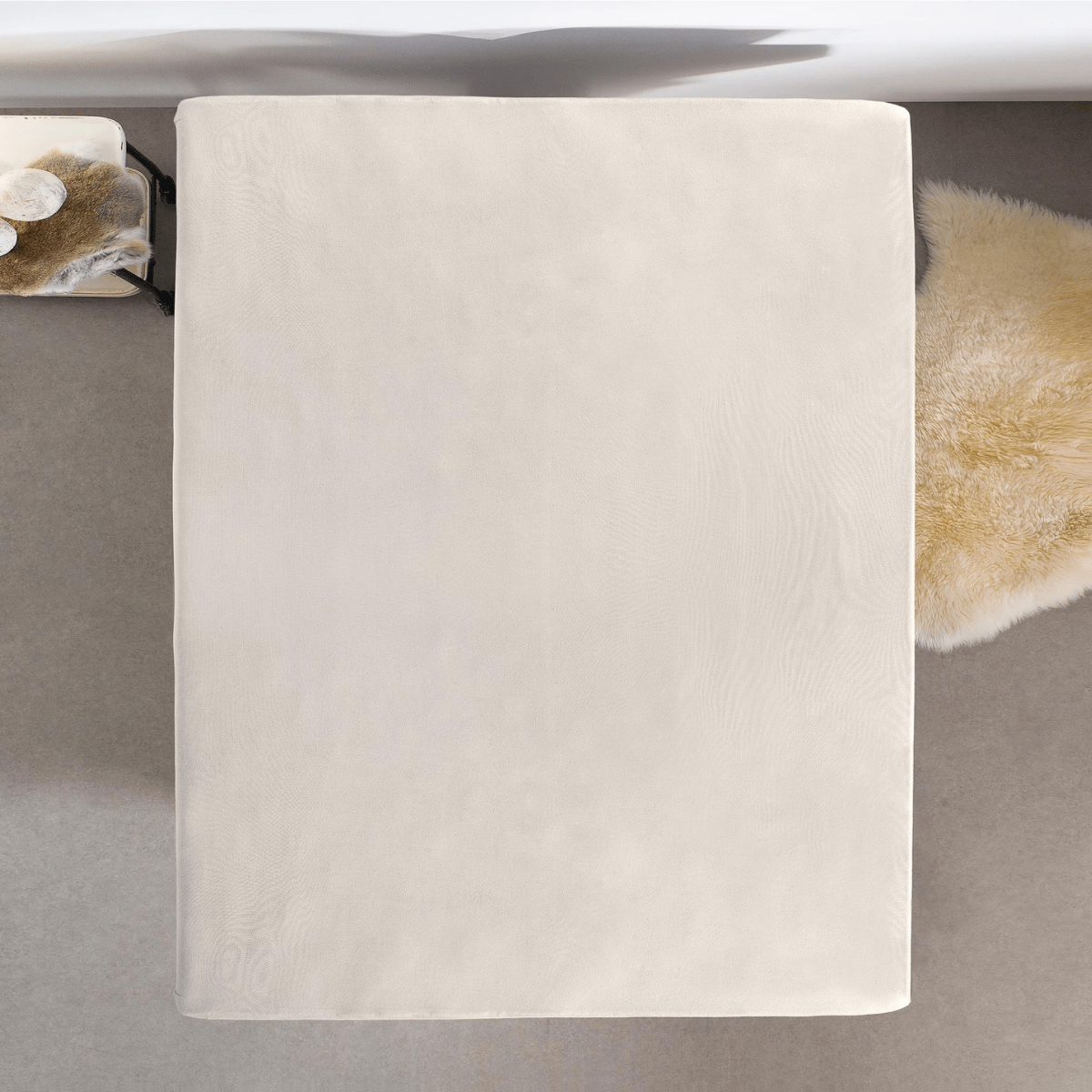 Zelesta Single Jersey Fitted Sheet Cream image