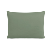 Zelesta Pure Uni Naadloos Katoenen Kussensloop Set Van 2 – Groen