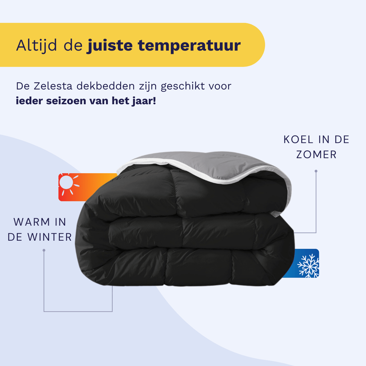 Zelesta Royal Bed - Black & Anthracite