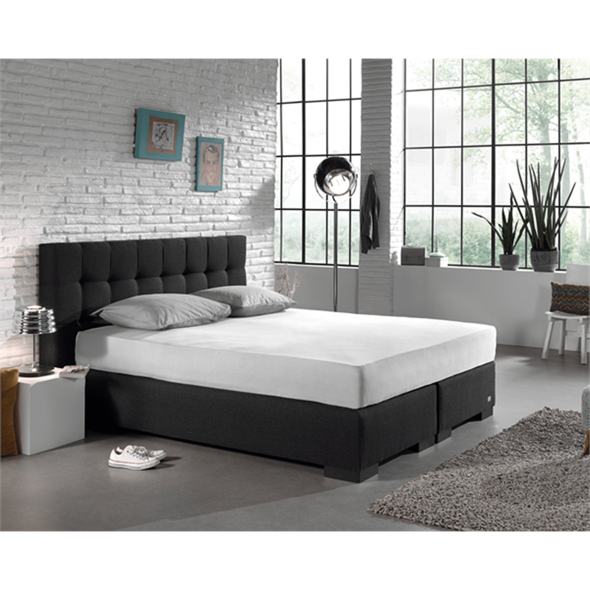 Zelesta Single Jersey Fitted Sheet White image