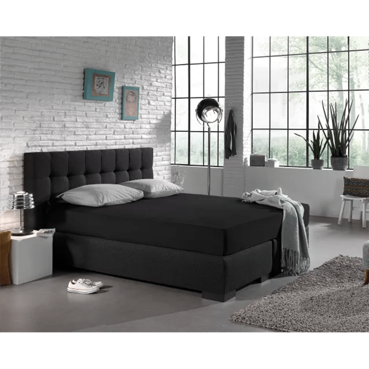 Zelesta Single Jersey Fitted Sheet Black image