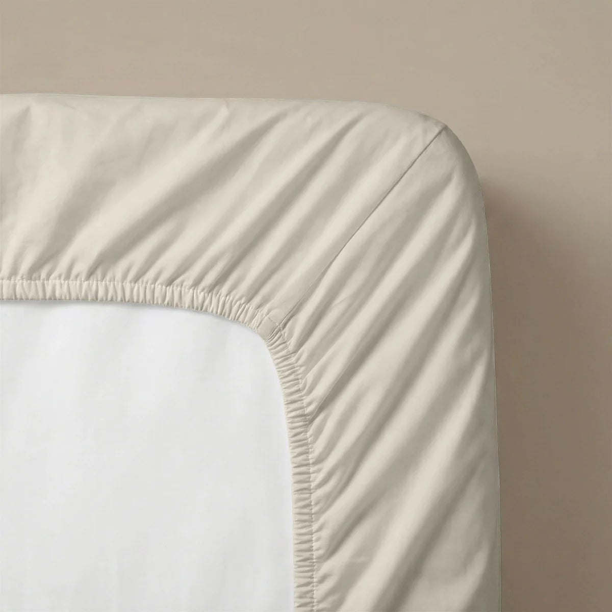 Zelesta Special Cooling Serene Fitted Sheet in Cream White on a white background