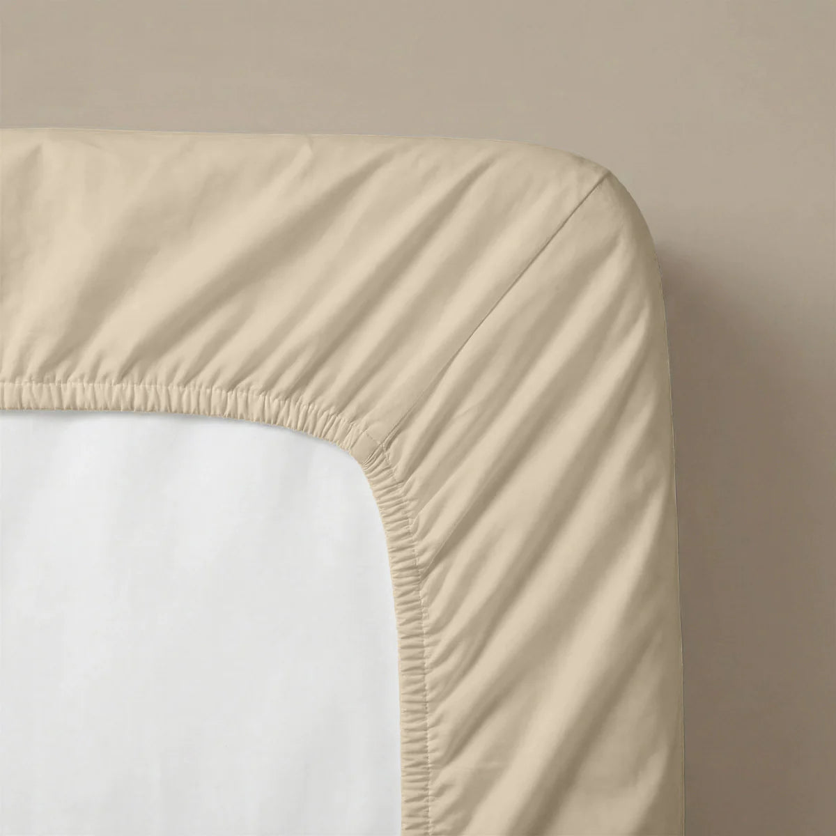 Zelesta Special Cooling Serene Fitted Sheet in Sand on a white background