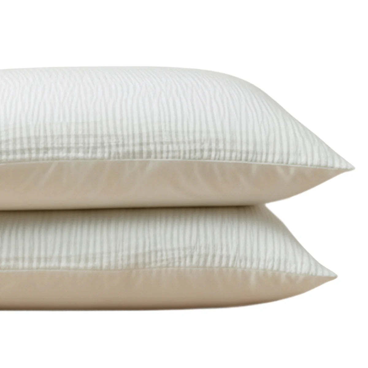Zelesta Special Velvet Chique Kussensloop Set van 2 - Beige