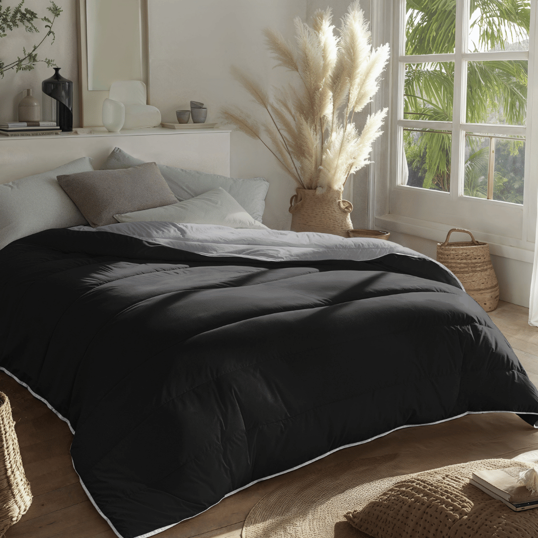Zelesta Royal Bed - Black & Anthracite
