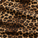 Jaguarhuid