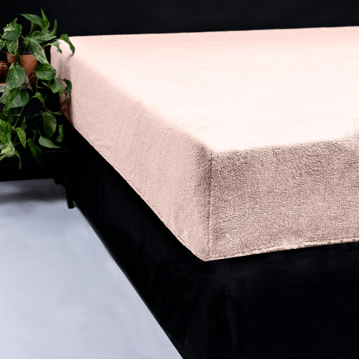 Zelesta Teddy Fitted Sheet - Pink image